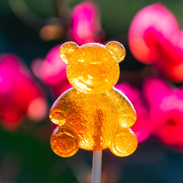 Honey Bear Lollipops - 2"